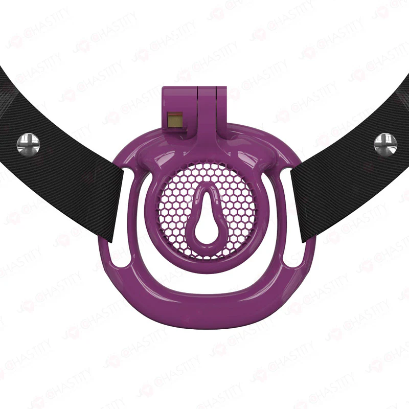 Sissy BDSM With Wearable Chastity Cage - Image 8