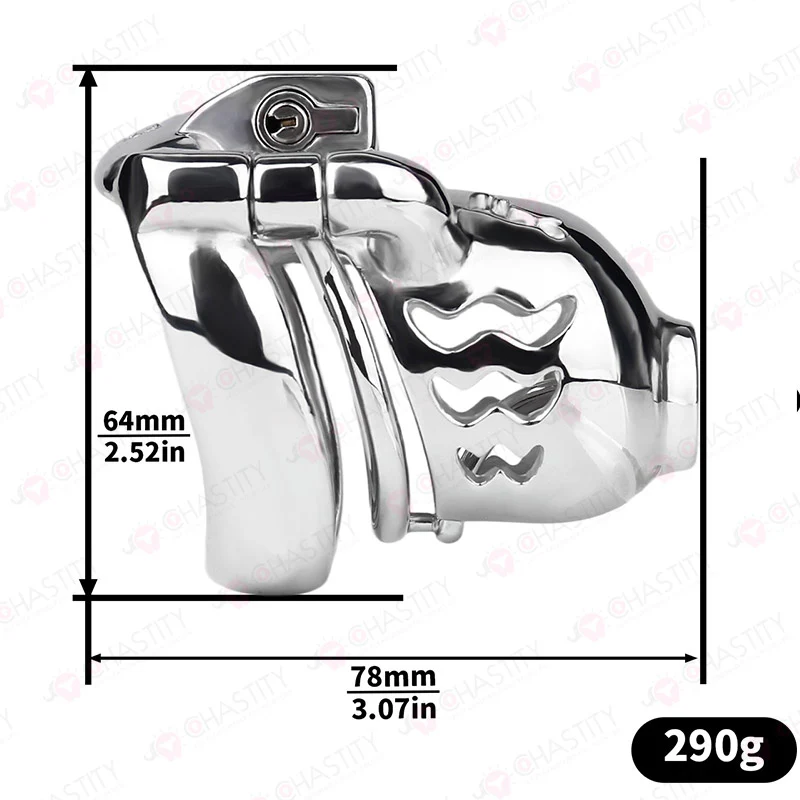 Weighted Chastity Cage Training (Removable PA) - Image 3