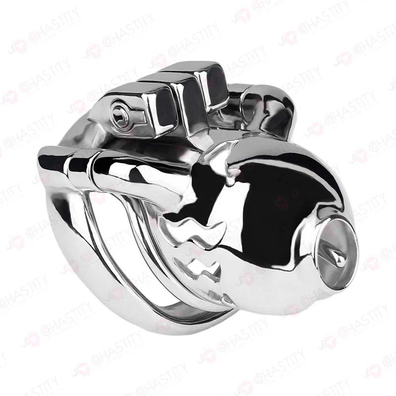 Weighted Chastity Cage Training (Removable PA) - Image 6